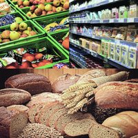 Chaines pour Agro-alimentaire